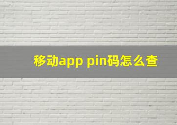 移动app pin码怎么查